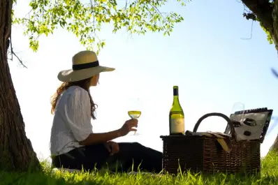 De las estrellas a los racimos: la Guía Michelin se expande para reconocer a los mejores viñedos del mundo