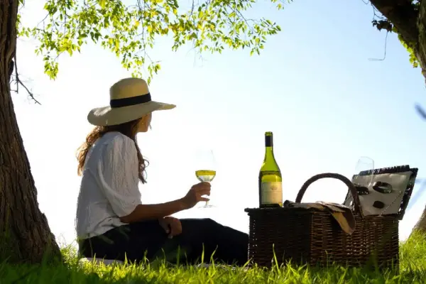 De las estrellas a los racimos: la Guía Michelin se expande para reconocer a los mejores viñedos del mundo