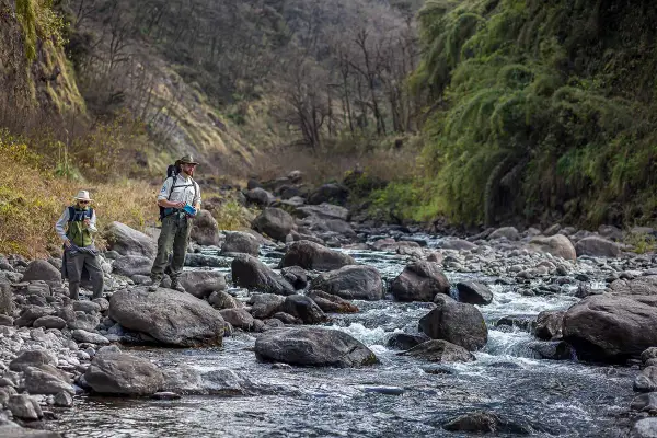 Voluntariado en el Parque Nacional Aconquija: cómo sumarse a una experiencia que deja huella