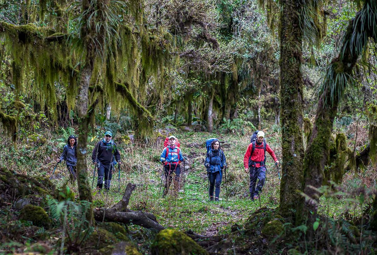 FLORA Y FAUNA. Guardaparques y voluntarios coordinan tareas de educación ambiental en Aconquija. / PARQUE NACIONAL ACONQUIJA