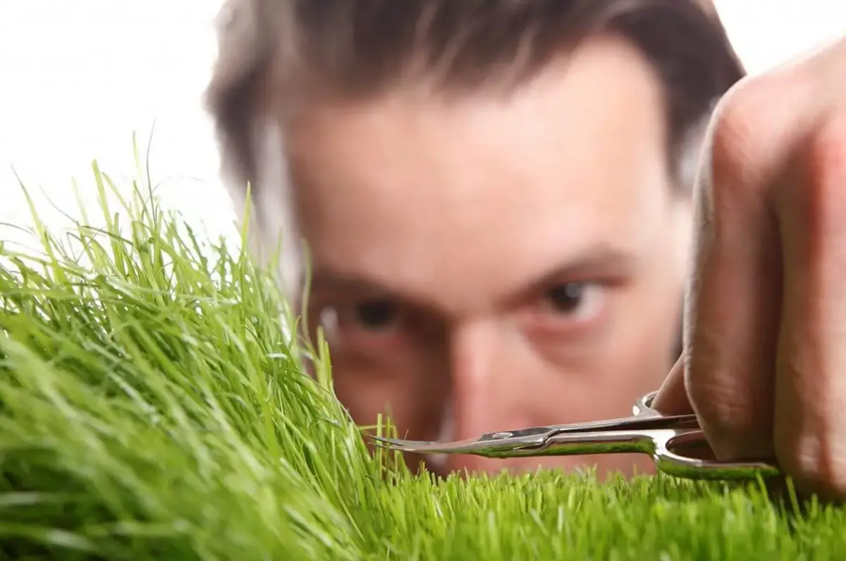 Ser una persona perfeccionista puede ser un arma de doble filo. Este test te ayudará a descubrir a qué tipo de personaldiad se asemeja más la tuya.