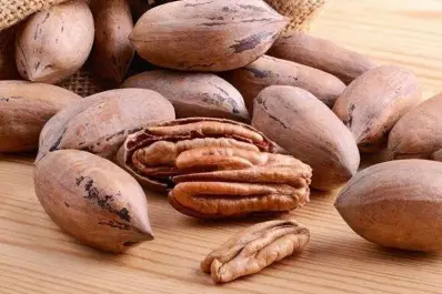 Nuez pecán: por primera vez se exportó a China