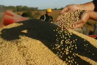 Productores celebran la baja de retenciones: “Es muy bueno que el Gobierno cumpla las promesas