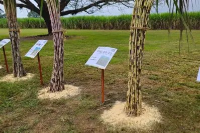 Regalías, innovación y retenciones: se abre el debate por la ley de semillas