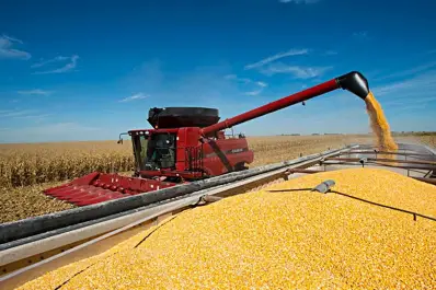 El Gobierno confirmó una baja en las retenciones para las exportaciones de soja, trigo, maíz y girasol