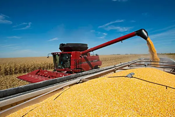 El Gobierno confirmó una baja en las retenciones para las exportaciones de soja, trigo, maíz y girasol