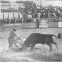 Recuerdos fotográficos: 1943. Corridas de toros en el Solar de los Deportes “santo”