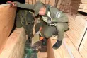 Secuestraron más de tres toneladas de marihuana que eran trasladadas entre placas de maderas