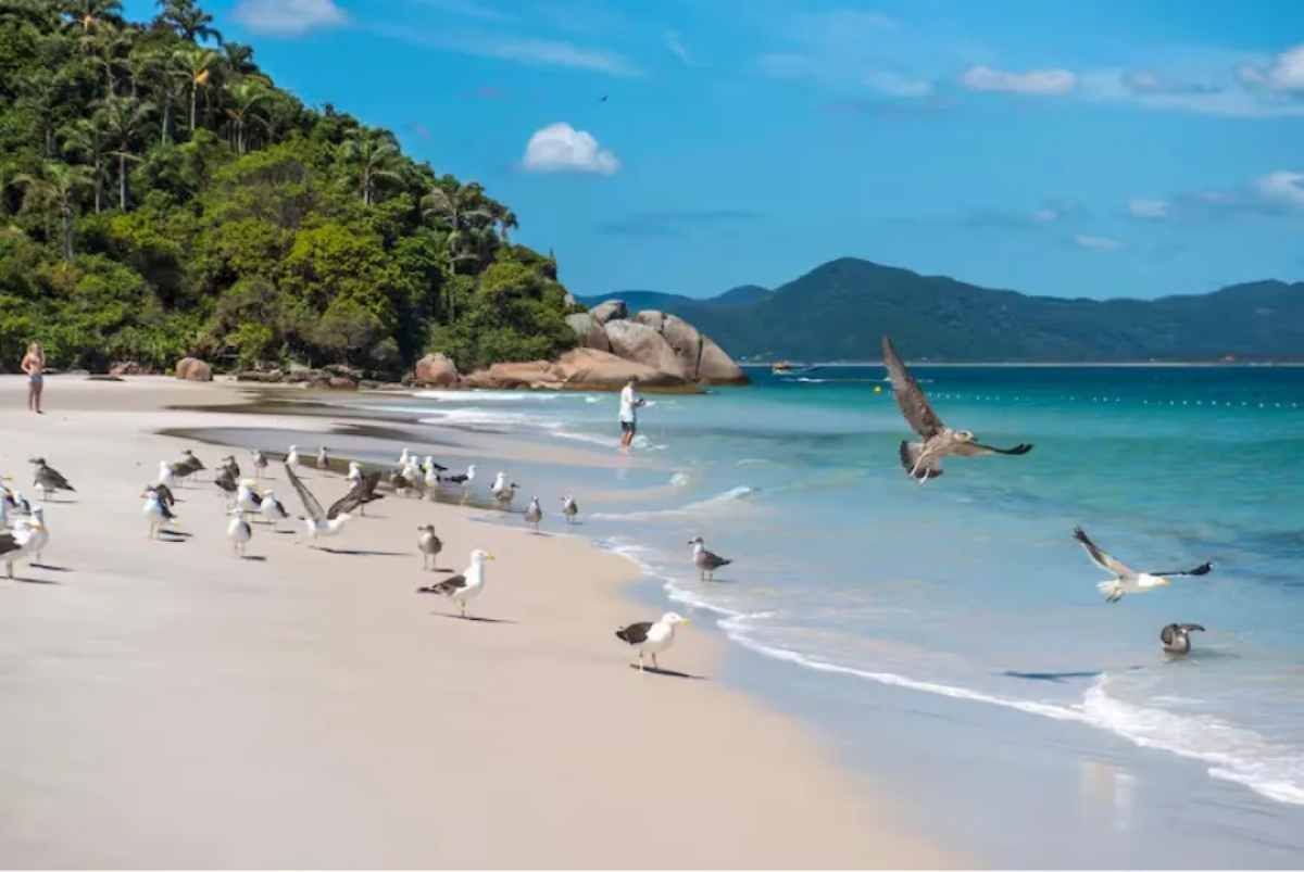 Adónde ir en Brasil si querés gastar poco y viajar en auto: seis playas que tenés que conocer