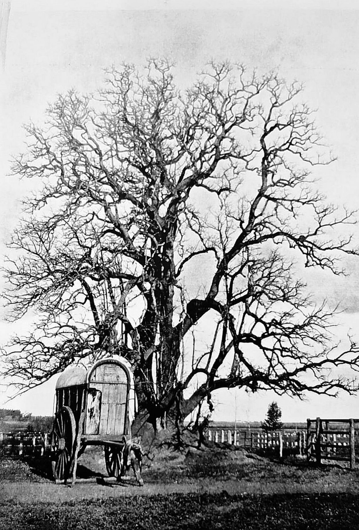 Recuerdos fotográficos: 1862. Balbín, el carrero que dio su nombre a Los Vázquez