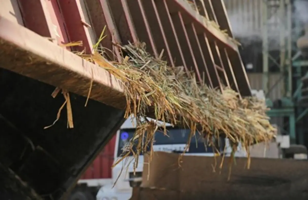 Molienda de caña de azúcar. COMUNICACIÓN PÚBLICA