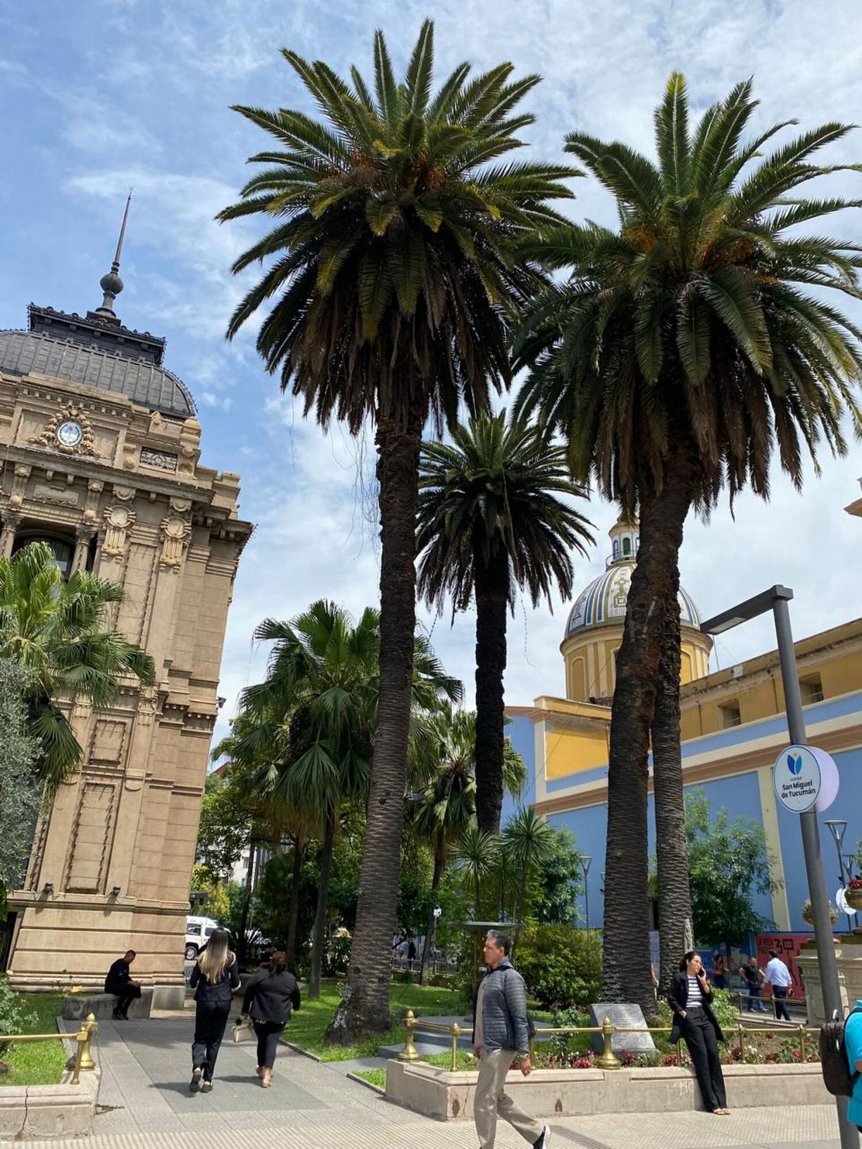 Recuerdos fotográficos: así crecieron las palmeras de la Casa de Gobierno