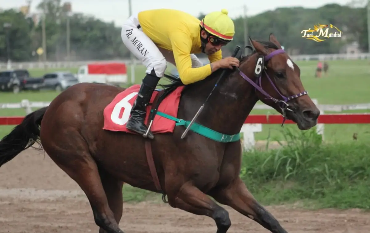 NOTABLE VICTORIA. Waterlight contó con la muy buena conducción de Facundo Morán para ganar la Polla de Potrancas.
