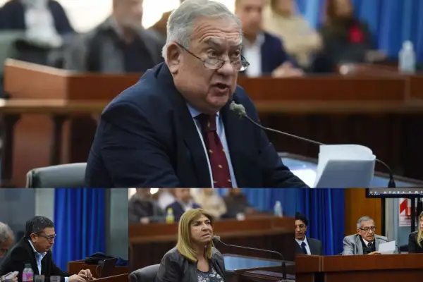 Piden que se agrave la pena contra Cerisola y que se condene a Sacca en la causa YMAD