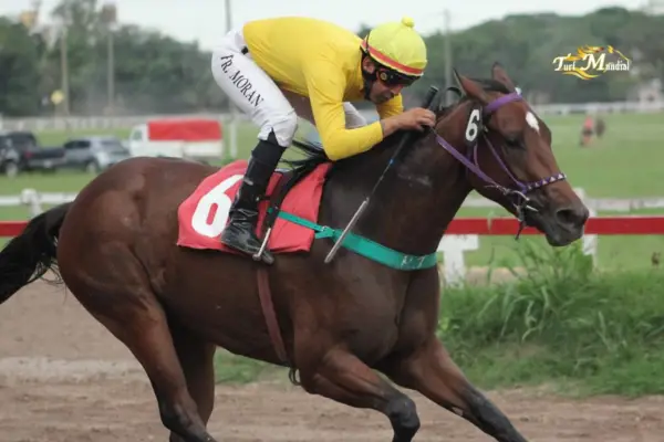 Turf: Waterlight brilló en el clásico Polla de Potrancas