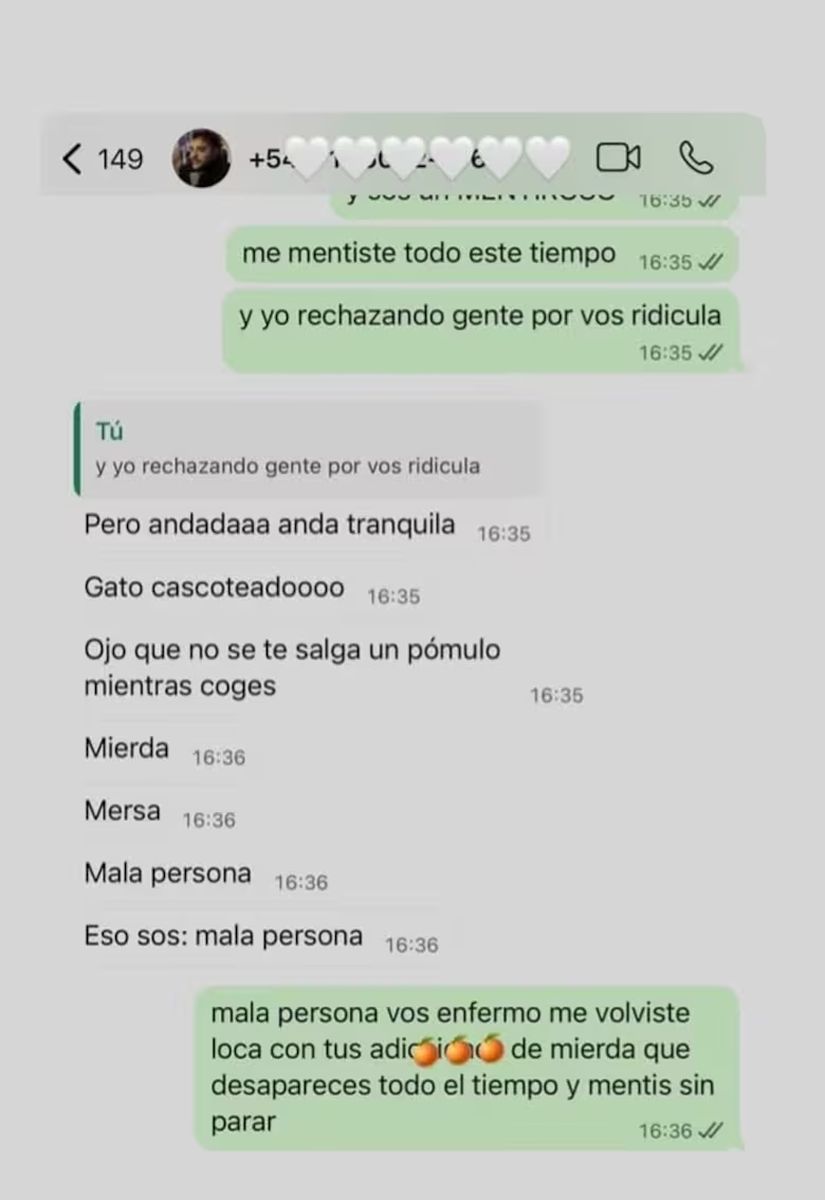 Chats cargados de insultos: la polémica conversación entre Sofía Gonet y Homero Pettinato