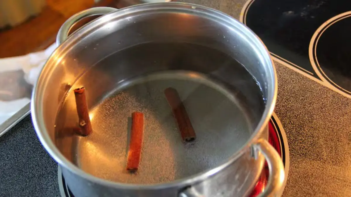 Cómo hacer un gran repelente casero con solo un ingrediente