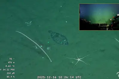 Tras ganar el Martín Fierro de Oro: dónde ver el nuevo streaming del Conicet