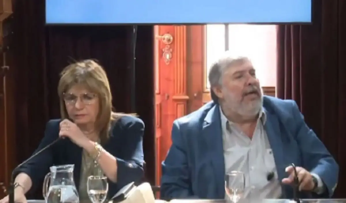 REPROCHE. “Hacen lo que se les canta las pelotas”, dijo Mayans  