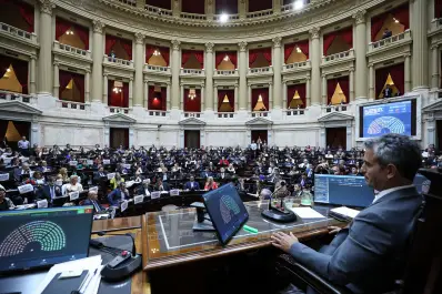 Milei se aferra al Senado para subsanar errores