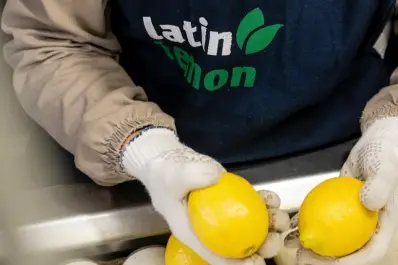 Megaoperación de cierre de año: el Grupo Ruiz adquiere Latin Lemon