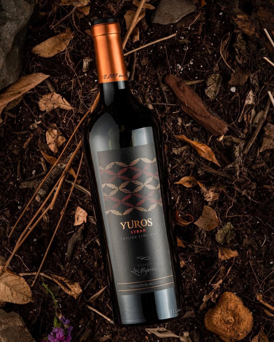 Tranquilos y espumosos: 14 opciones de vinos para brindar en Navidad y Año Nuevo