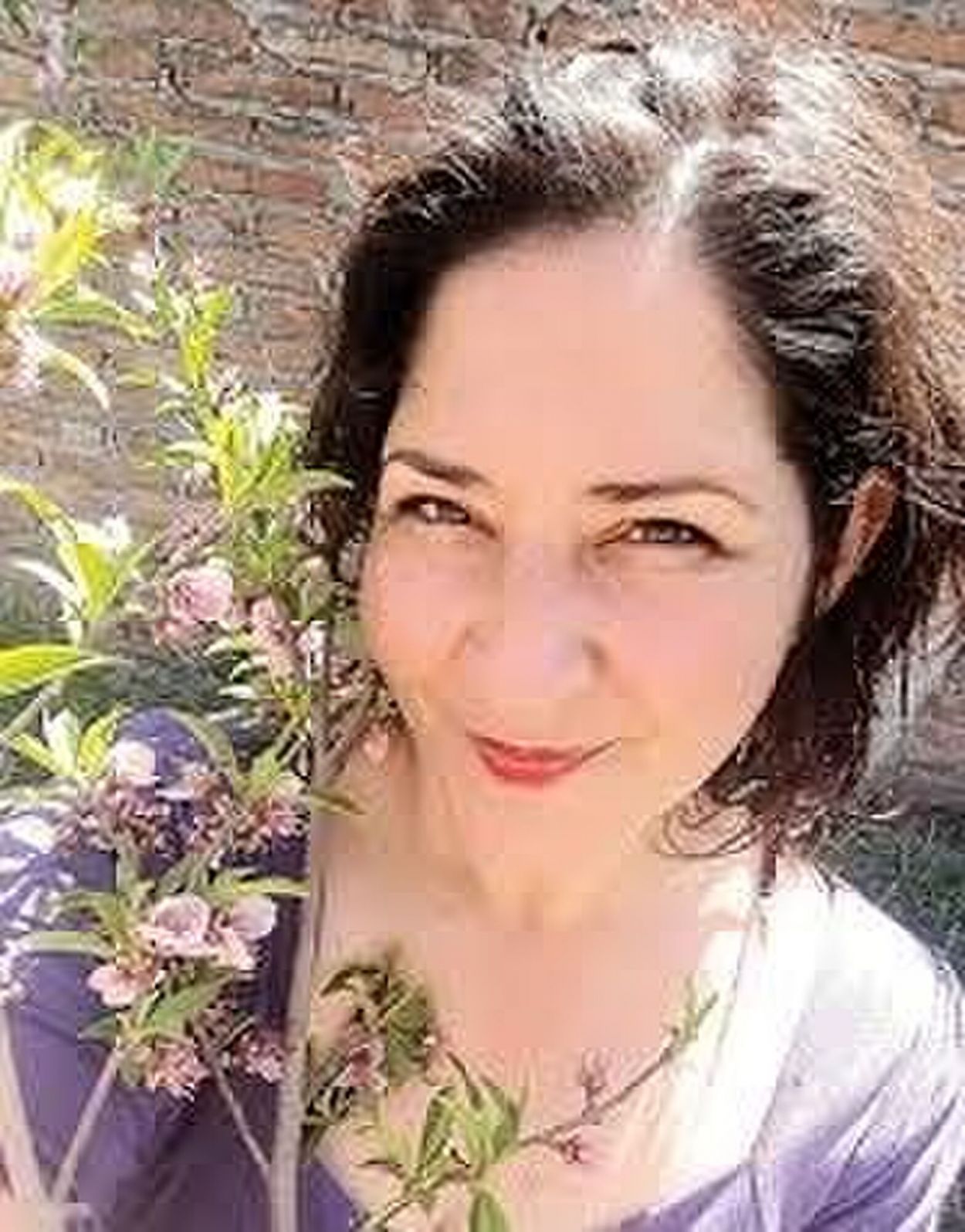 Espectáculos y cultura en Tucumán: guía para salir