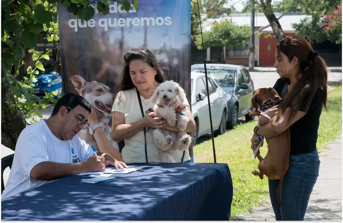 Se castrarán perros y gatos de forma gratuita la próxiama semana.