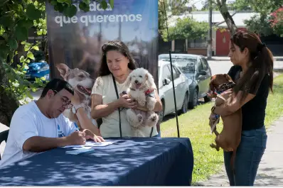 Se podrá castrar mascotas de forma gratuita el 22, 23 y 26 de diciembre