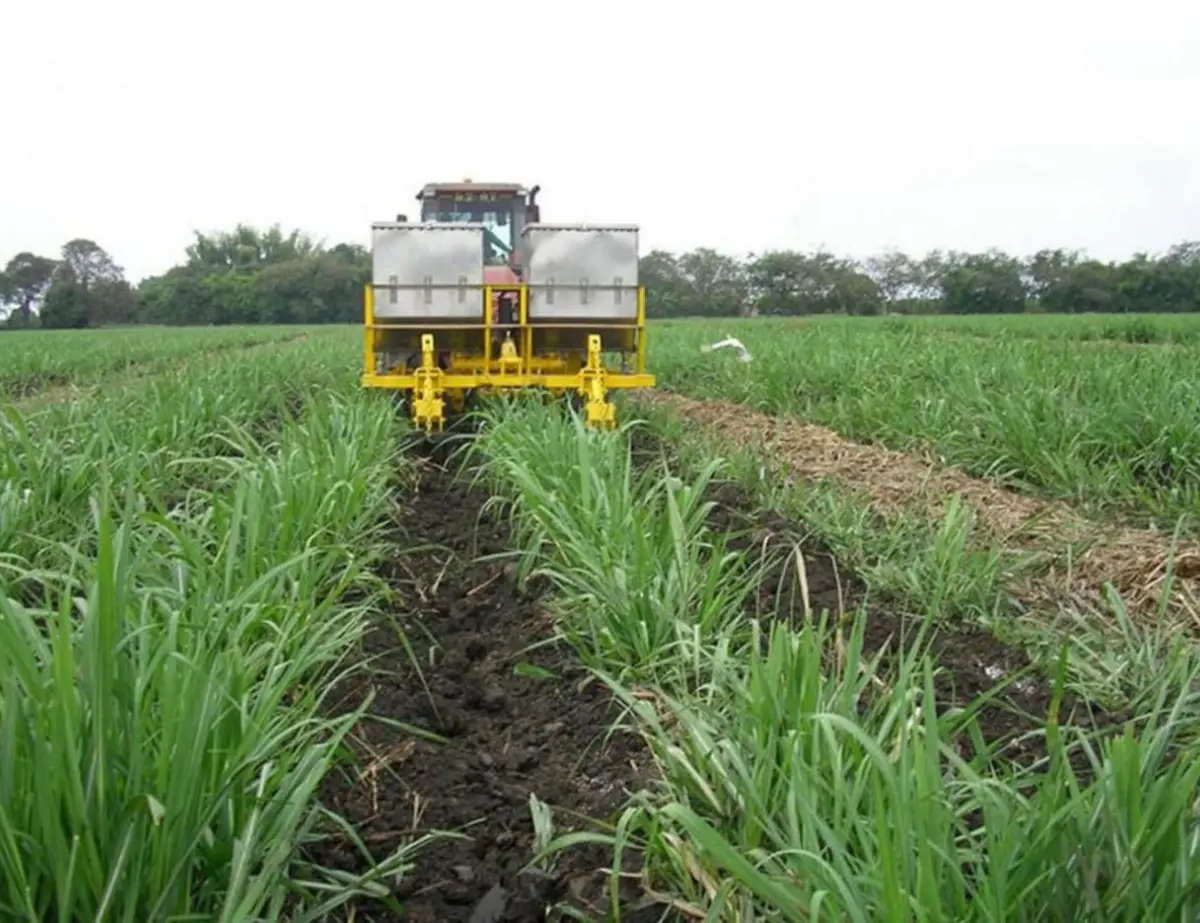 ANÁLISIS COMPARATIVO. En los años 2020, 2021 y en parte de 2023 y de 2025 las compras de urea realizadas antes de octubre -mes durante el cual se recomienda fertilizar- resultaron más ventajosas.