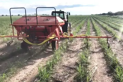 El costo de fertilizar una hectárea creció un 50% entre 2024 y 2025