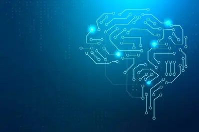 Especialistas discuten cómo las plataformas digitales afectan la democracia