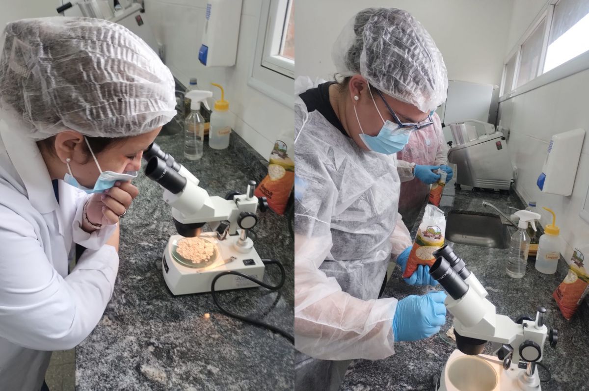 TRABAJO CONJUNTO. Colaboradores del Servicio Penitenciario de Tucumán que acompañan el desarrollo de la iniciativa.