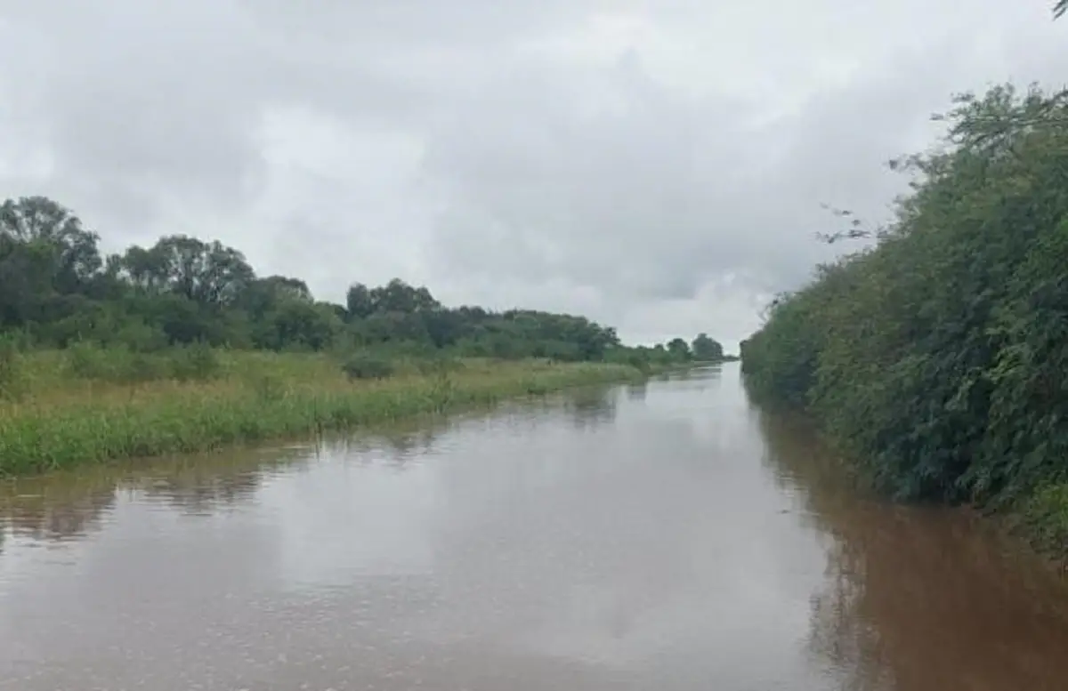 COMUNICACIÓN PÚBLICA