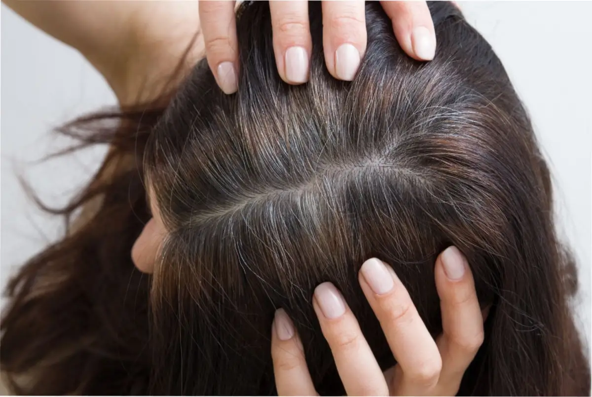 ¿Cómo disimular las canas en simples pasos?