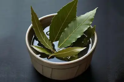 Cómo realizar el ritual con laurel para atraer dinero en Navidad