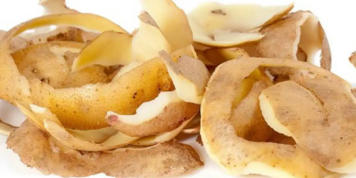 Licuar cáscara de papa con bicarbonato: para qué sirve este truco casero y por qué lo recomiendan