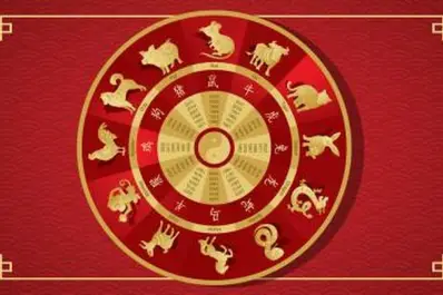 Horóscopo Chino 2026: ¿cuáles son los signos que tendrán suerte el año que viene?