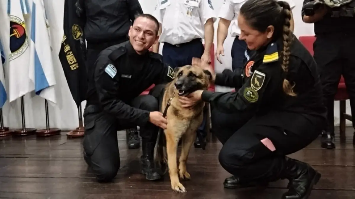 COMUNICACIÓN PÚBLICA