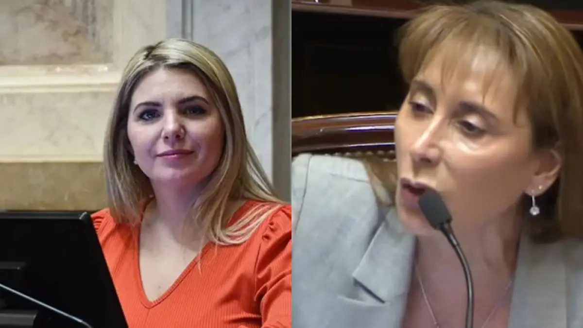 “¡Callate, mamarracho!”: explosivo cruce en el Senado durante el debate del Presupuesto 2026