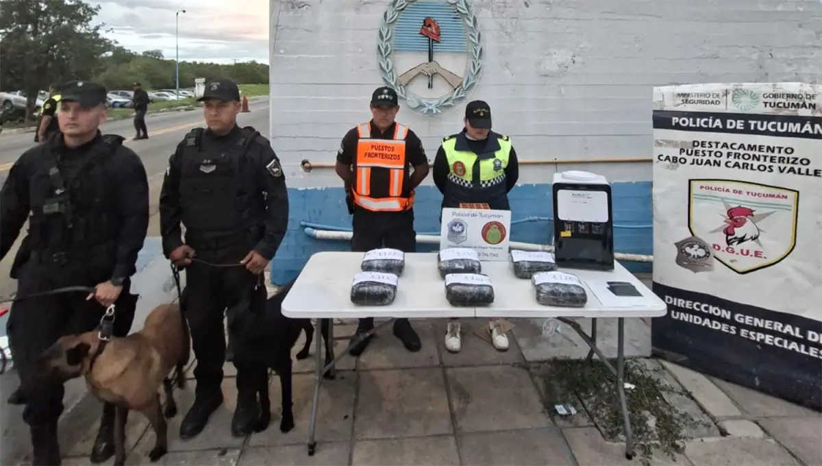 Detienen a un gerente de una empresa de correo por el transporte de marihuana