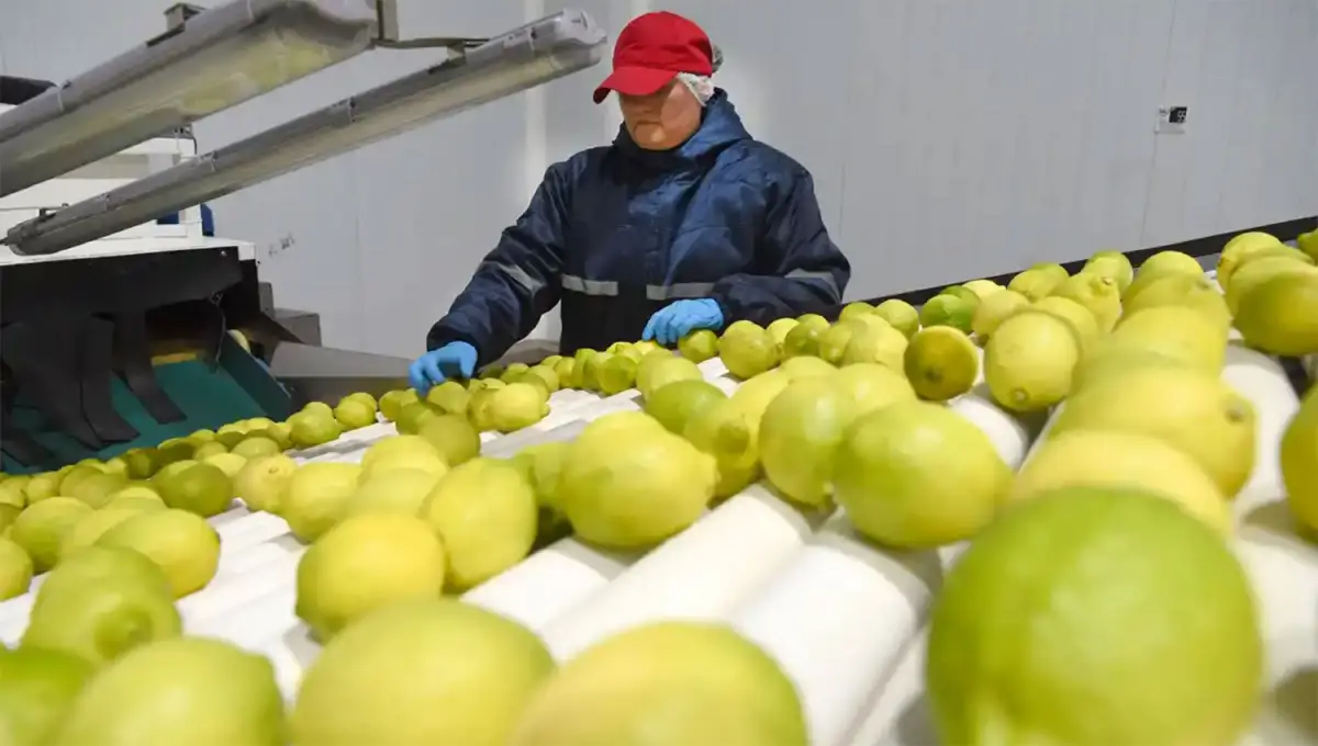 Las exportaciones crecieron un 9,5% entre enero y noviembre