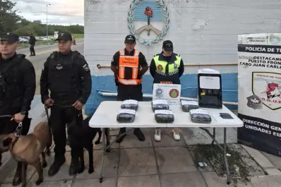 Detienen a un gerente de una empresa de correo por el transporte de marihuana