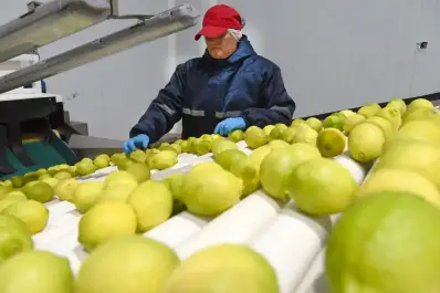 Las exportaciones crecieron un 9,5% entre enero y noviembre