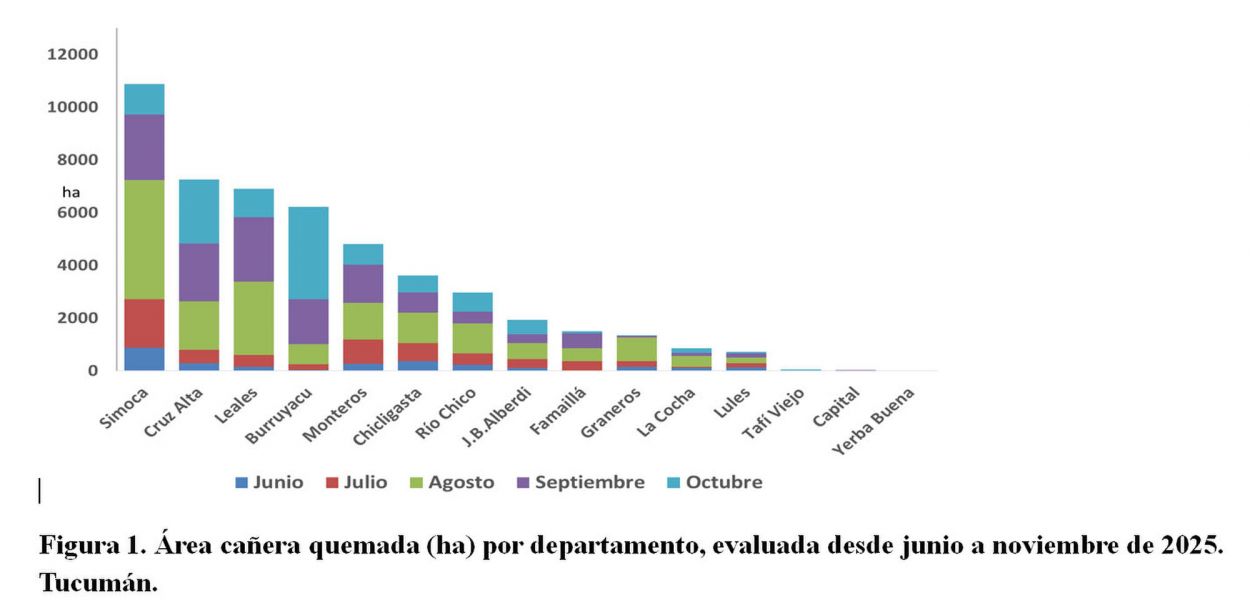 Durante 2025, en Tucumán se quemaron 5.000 hectáreas menos de caña que en la zafra anterior