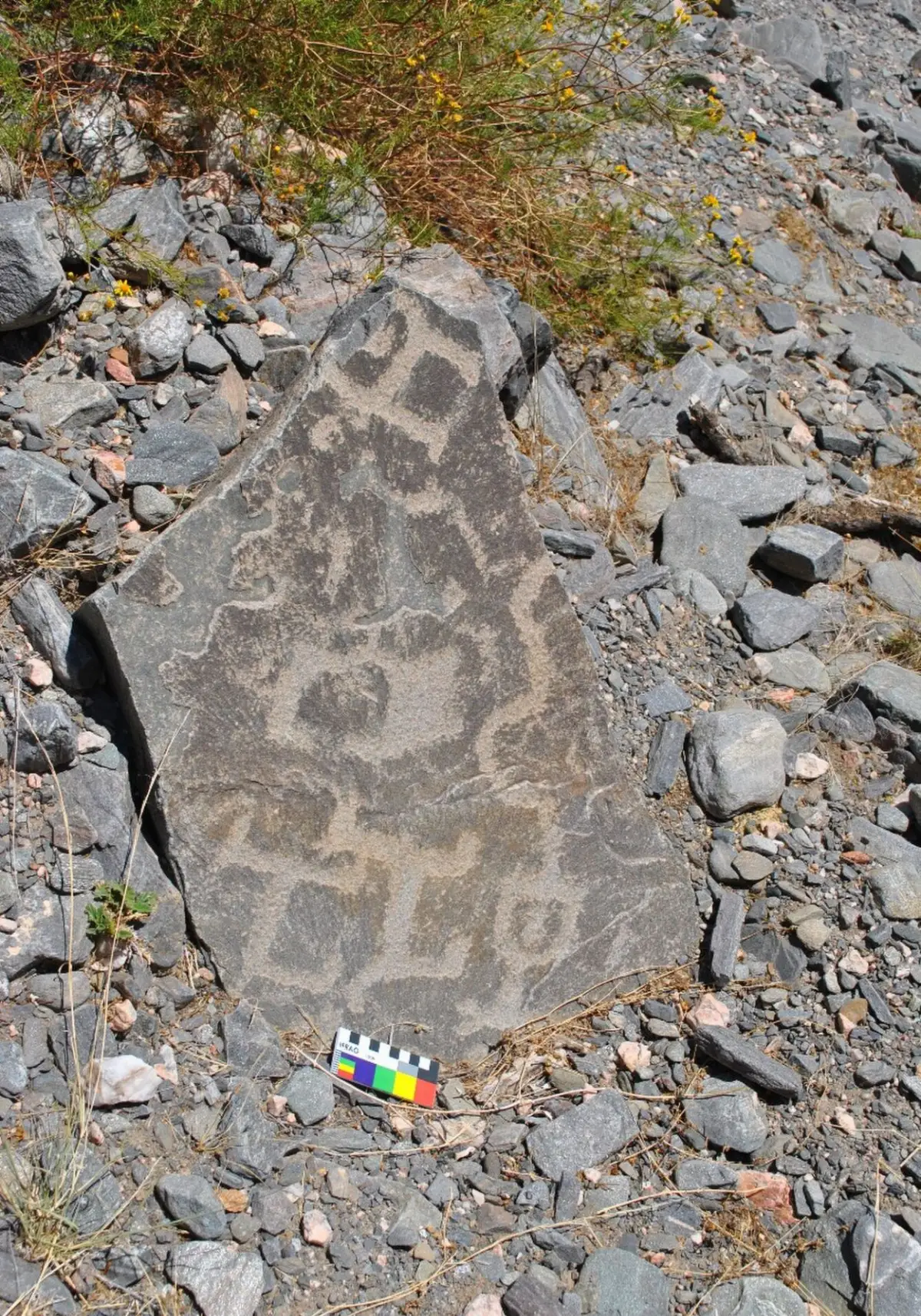 PIEZA PERDIDA. Estaba ubicada en El Carrizal, zona de no fácil acceso.  foto gentileza dirección de patrimonio