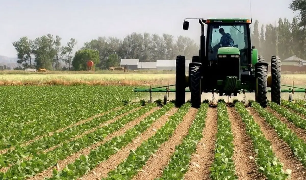 Informe especial: aumentó la confianza del productor en el Gobierno nacional