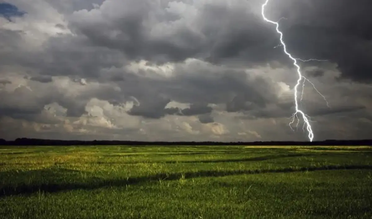 La zona núcleo recibió lluvias que “valen oro”