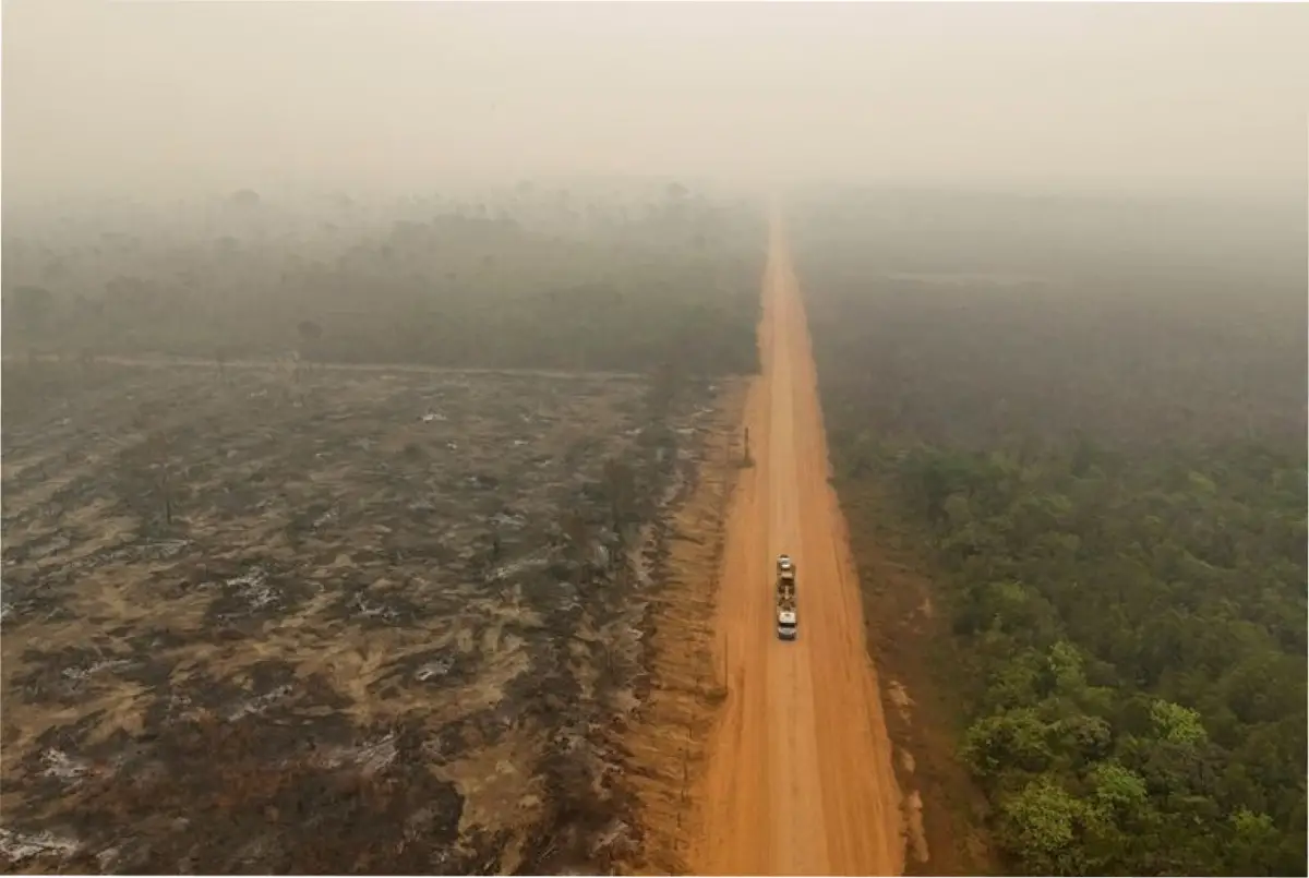 Los daños irreparables del Amazonas.