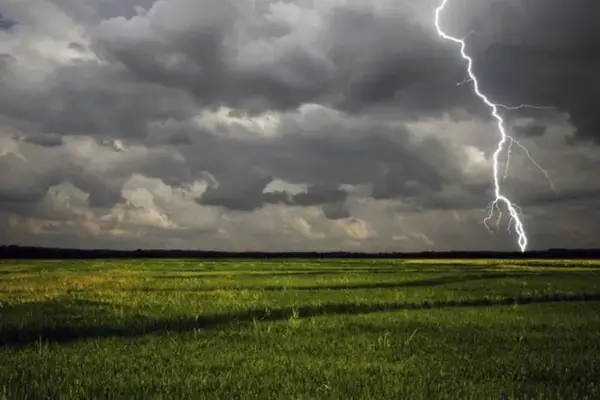 La zona núcleo recibió lluvias que “valen oro”